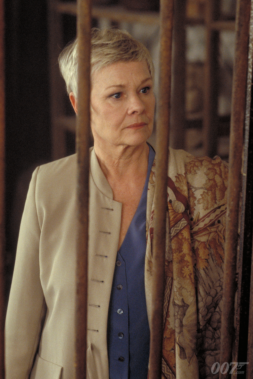 Pictures of judi dench