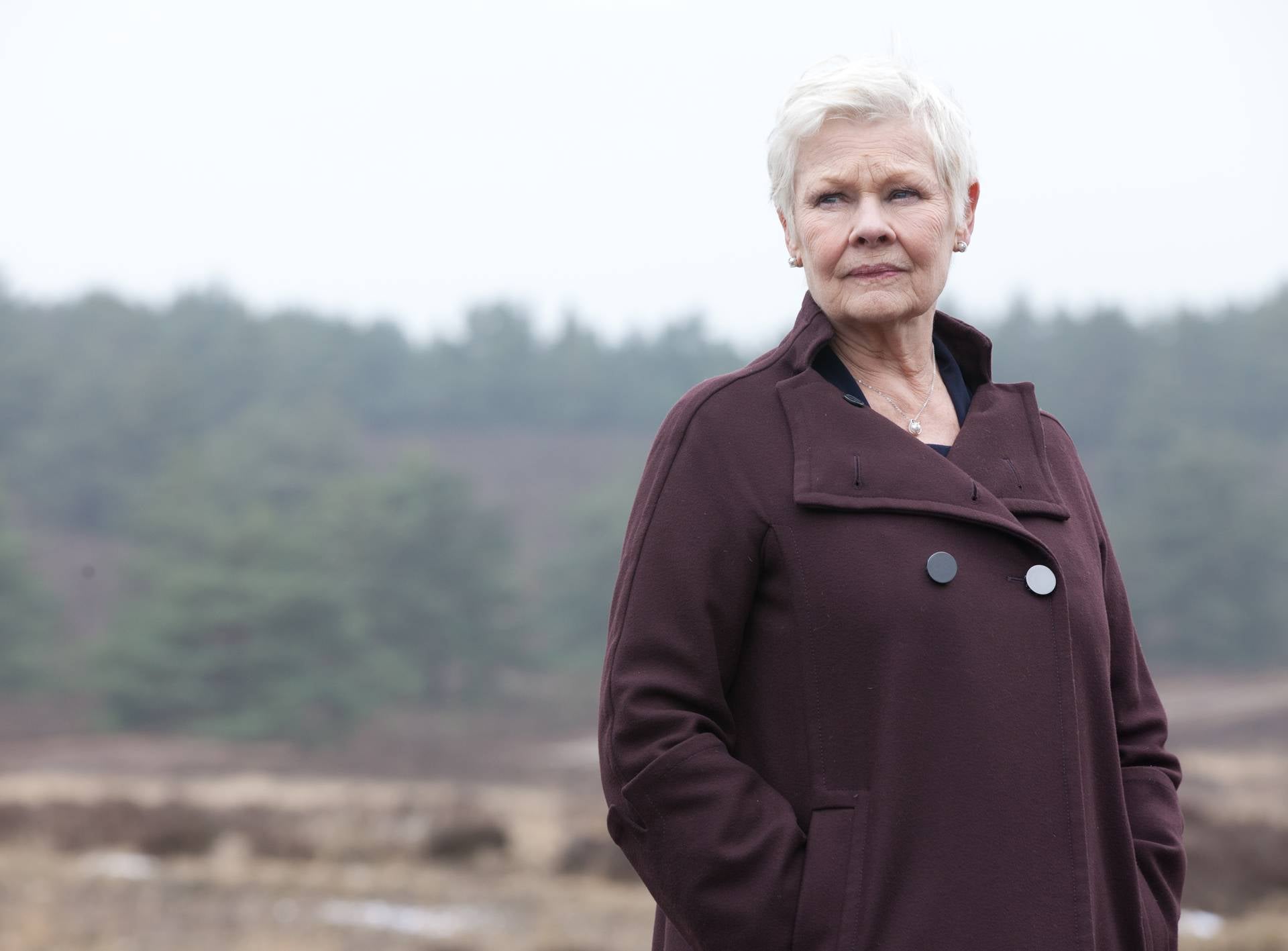 Spotlight On Dame Judi Dench