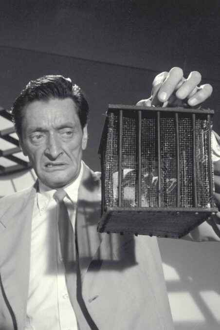 The Animals Of James Bond